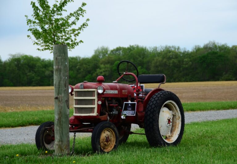 Um Trator Vermelho Estacionado Ao Lado De Uma Arvore ZGw4 jcq5LI