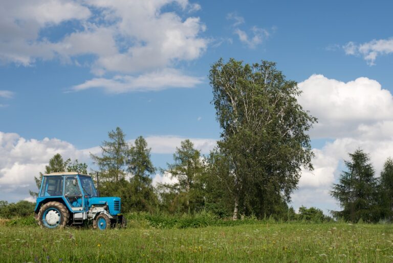 Carro Azul Estacionado Ao Lado Da Arvore Verde Sob O Ceu Azul Durante O Dia ZoqbdyJgKyY