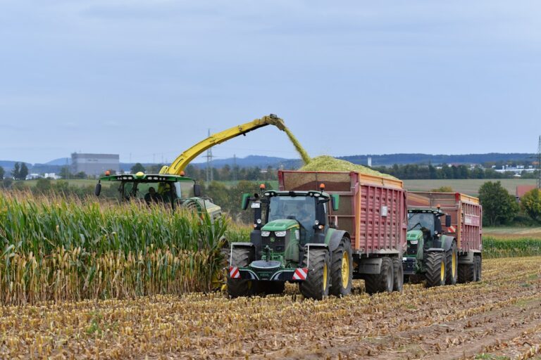 Tratores Colhendo Milho Em Um Campo PF5tnMB4phE