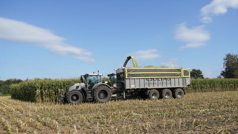 Trator Colhendo Milho Em Um Campo Sob O Ceu Azul W9DupzBW1xg