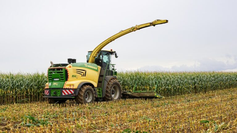 Colheitadeira Verde E Amarela Em Um Milharal YhSbfsUd8XU