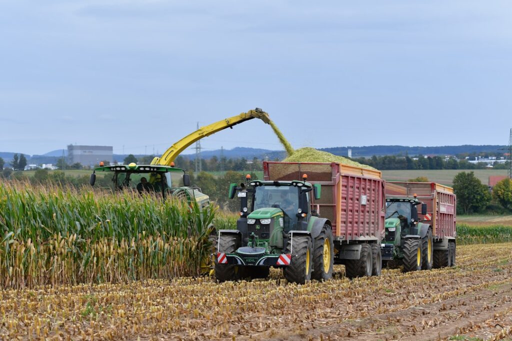 Tratores Colhendo Milho Em Um Campo PF5tnMB4phE