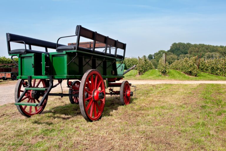 Carroca Verde Puxada Por Cavalos Com Rodas Vermelhas No Campo zYteJWckTIw