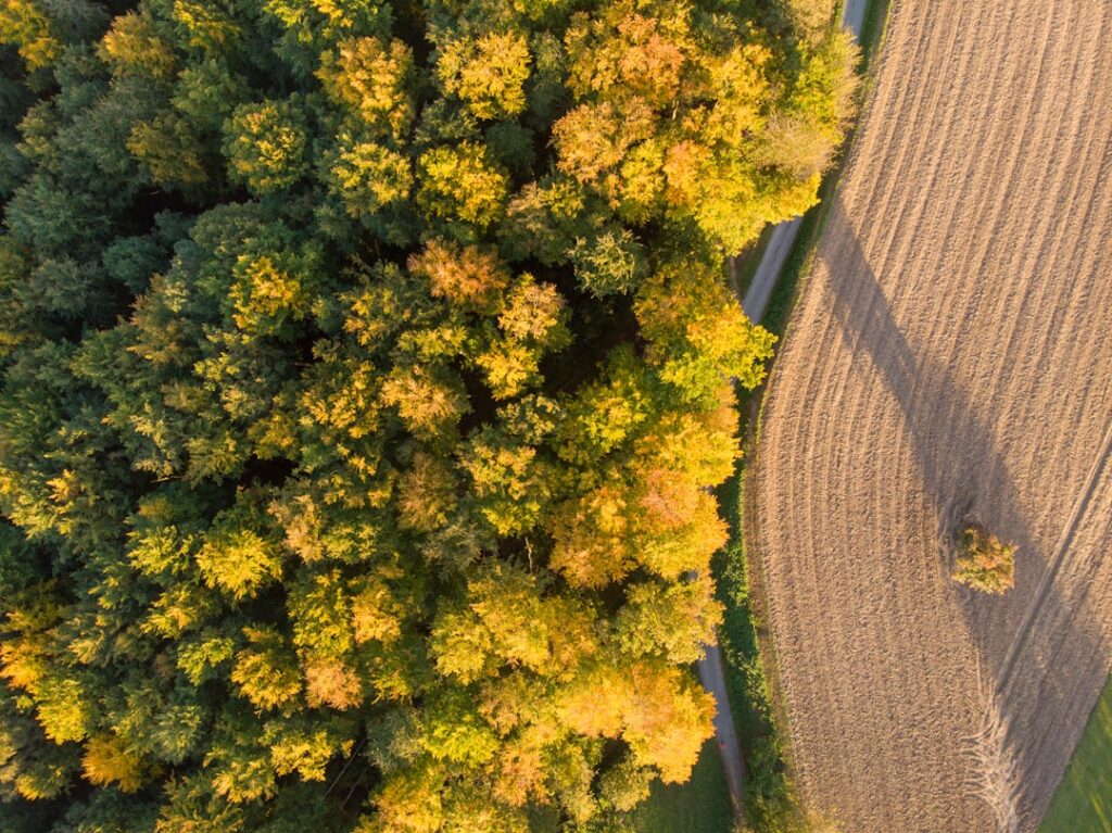 Uma Vista Aerea De Um Campo Agricola Com Um Trator No Meio Dela koh4C6iibqE