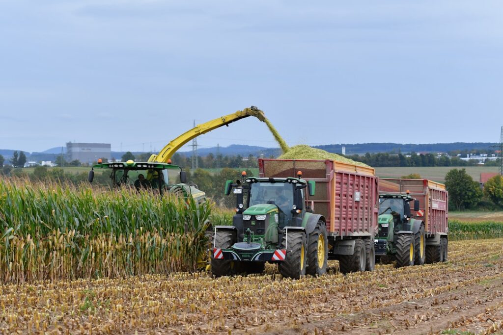 Tratores Colhendo Milho Em Um Campo PF5tnMB4phE