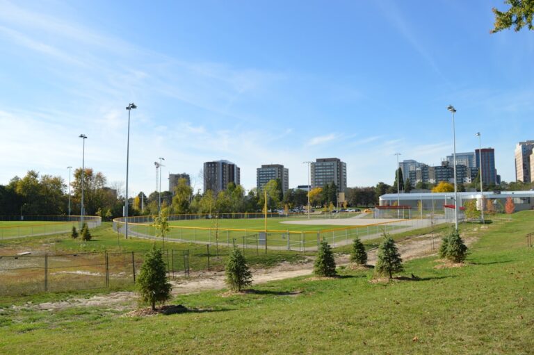 Skyline Da Cidade Visto De Um Parque Gramado Com Campos De Esportes NfYEgyuycEQ