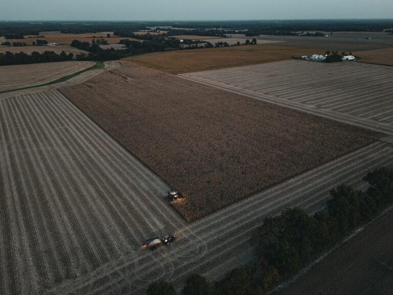 Uma Vista Aerea De Um Campo Agricola Com Um Trator 1RLY gArInE